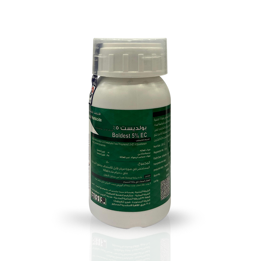 بولديست 250سم