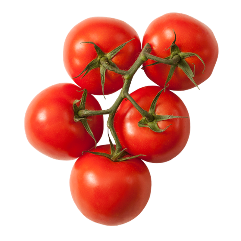 بذور طماطم ماجي 1000بذرة