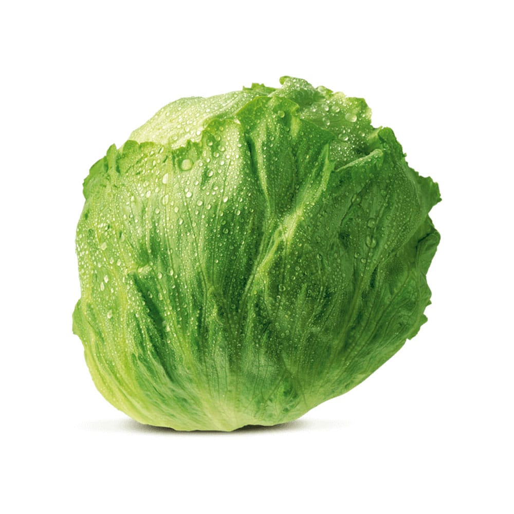 بذور كابوتشي شادي 10جم