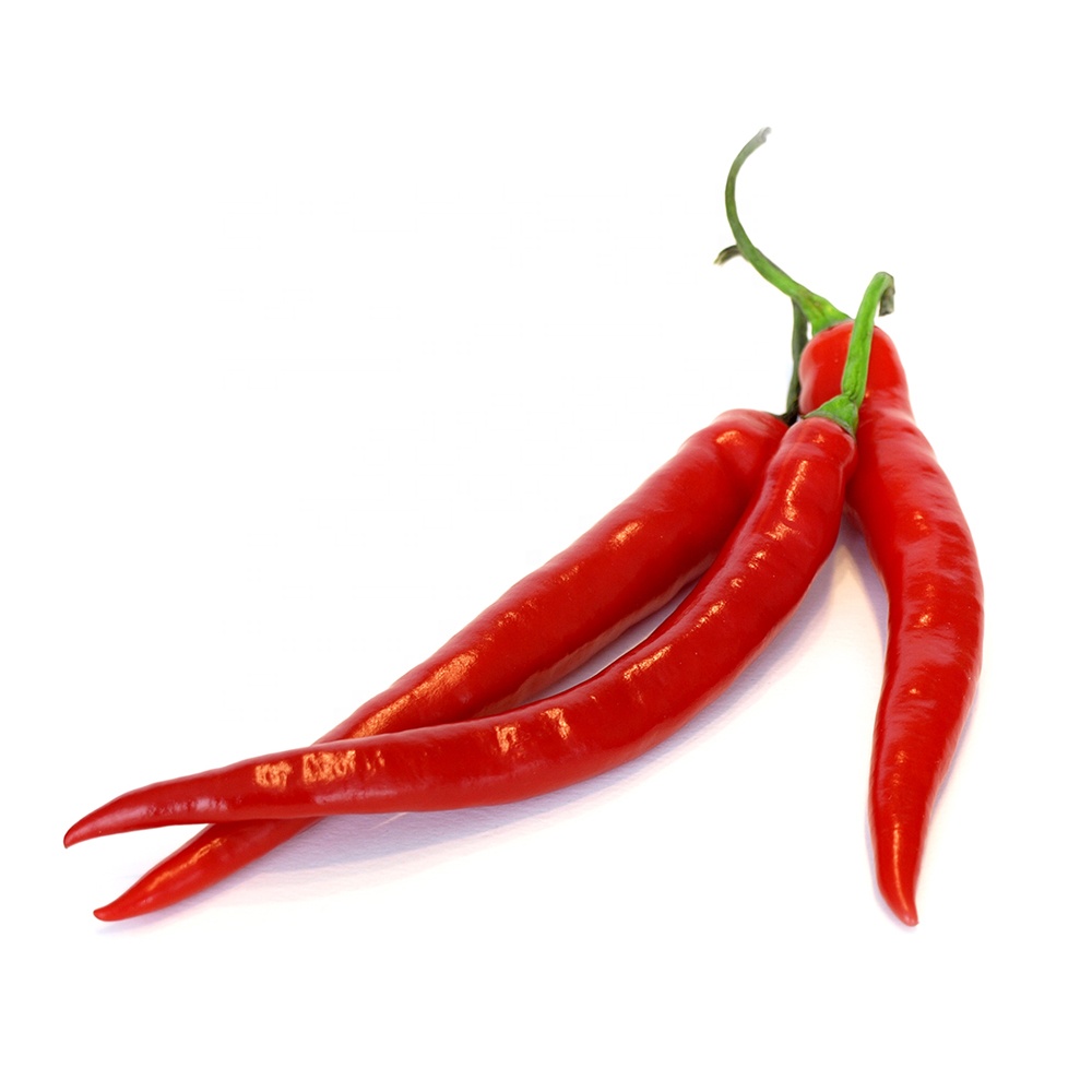 بذور فلفل حامي ايراد 1000بذرة